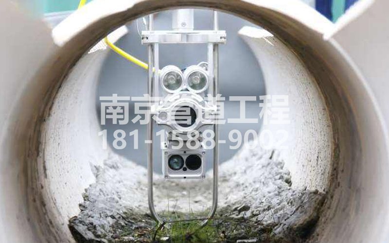 221南农大QV检测